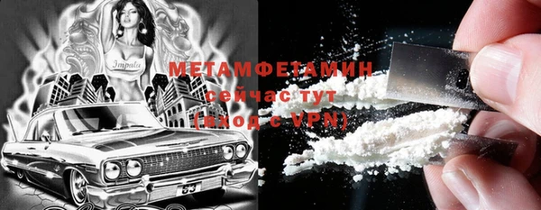 сатива Беломорск