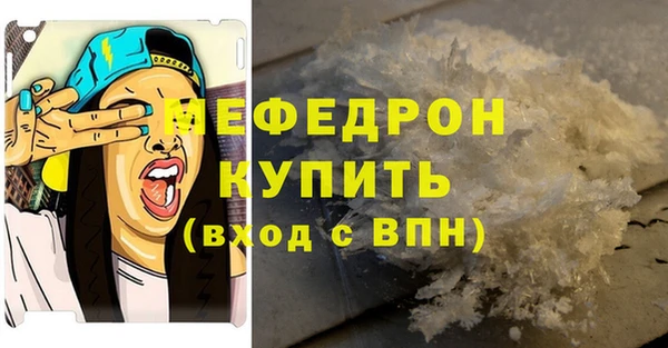 сатива Беломорск